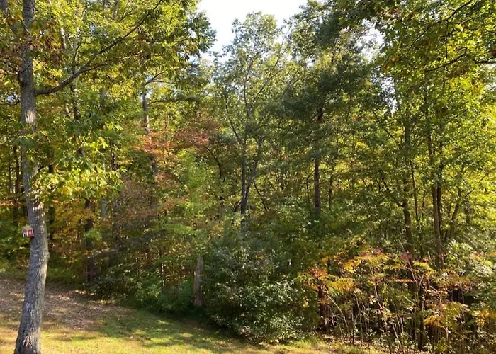 Providence Cabin